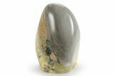 Free-Standing, Polished Bumblebee Jasper - Indonesia #185555-1